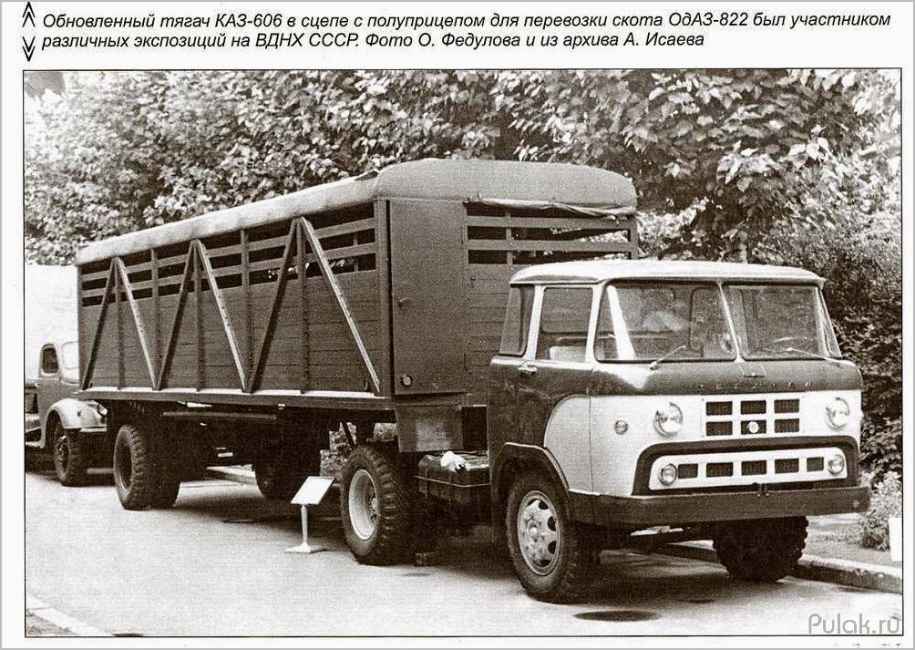 (колхида, описание, преимущества, недостатки) КАЗ